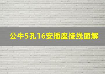 公牛5孔16安插座接线图解