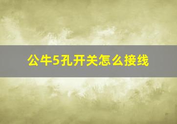 公牛5孔开关怎么接线