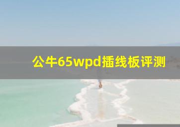 公牛65wpd插线板评测