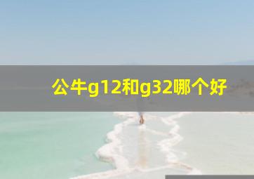 公牛g12和g32哪个好