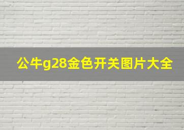 公牛g28金色开关图片大全