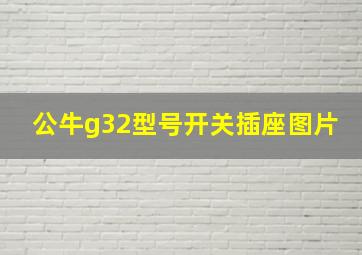 公牛g32型号开关插座图片