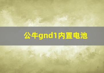 公牛gnd1内置电池