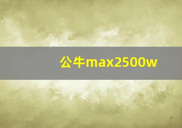 公牛max2500w