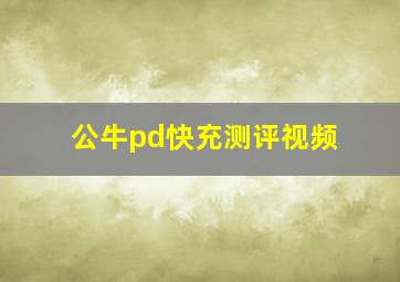 公牛pd快充测评视频