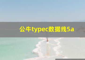 公牛typec数据线5a