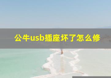 公牛usb插座坏了怎么修