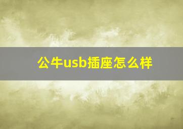 公牛usb插座怎么样