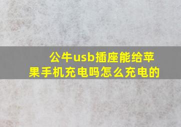 公牛usb插座能给苹果手机充电吗怎么充电的