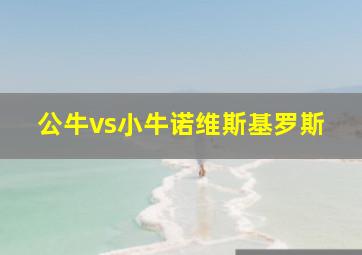 公牛vs小牛诺维斯基罗斯