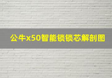 公牛x50智能锁锁芯解剖图