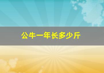 公牛一年长多少斤