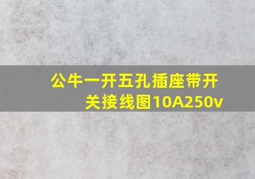 公牛一开五孔插座带开关接线图10A250v