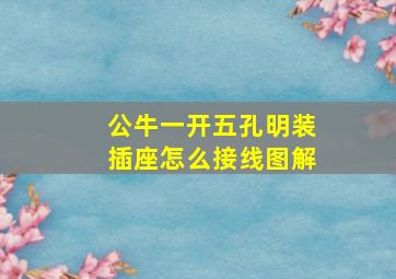 公牛一开五孔明装插座怎么接线图解