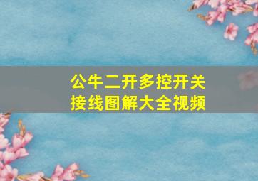 公牛二开多控开关接线图解大全视频