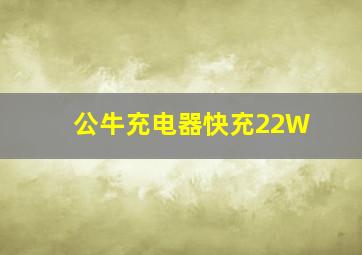 公牛充电器快充22W