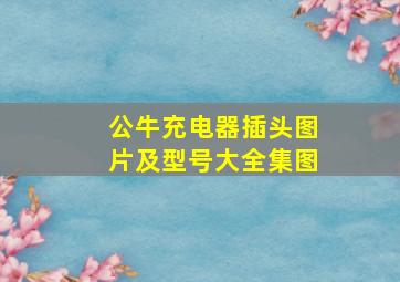 公牛充电器插头图片及型号大全集图