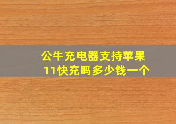 公牛充电器支持苹果11快充吗多少钱一个