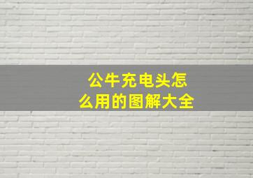 公牛充电头怎么用的图解大全