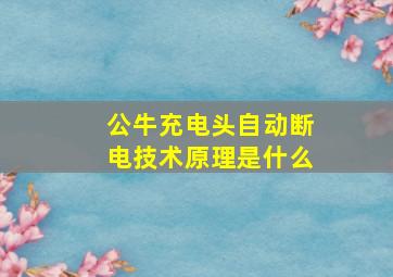 公牛充电头自动断电技术原理是什么