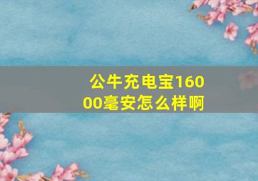 公牛充电宝16000毫安怎么样啊