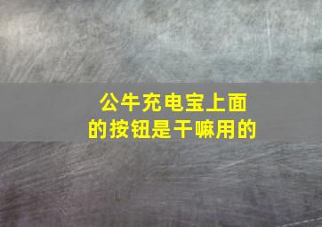 公牛充电宝上面的按钮是干嘛用的