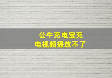 公牛充电宝充电视频播放不了