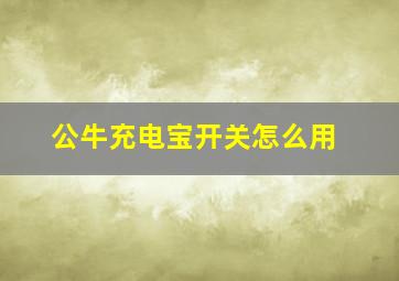 公牛充电宝开关怎么用