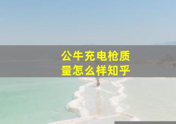 公牛充电枪质量怎么样知乎