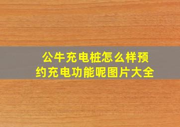 公牛充电桩怎么样预约充电功能呢图片大全