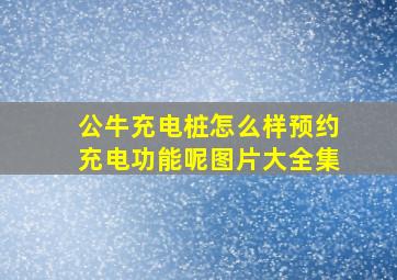 公牛充电桩怎么样预约充电功能呢图片大全集