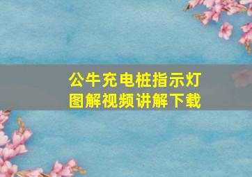 公牛充电桩指示灯图解视频讲解下载