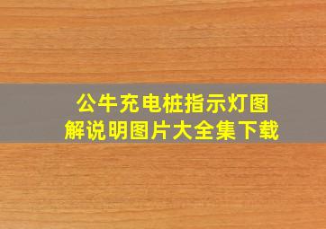 公牛充电桩指示灯图解说明图片大全集下载