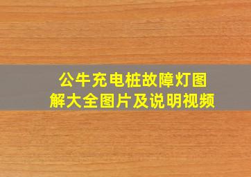 公牛充电桩故障灯图解大全图片及说明视频