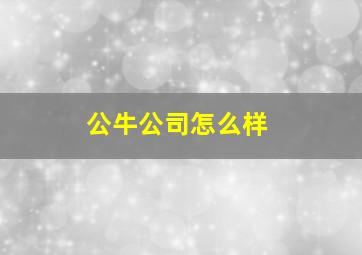 公牛公司怎么样