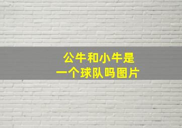 公牛和小牛是一个球队吗图片