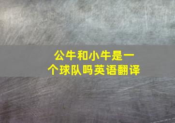 公牛和小牛是一个球队吗英语翻译