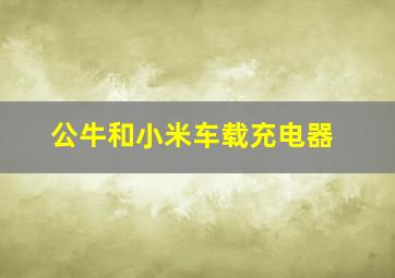 公牛和小米车载充电器