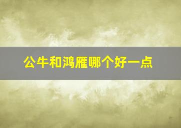 公牛和鸿雁哪个好一点