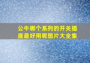 公牛哪个系列的开关插座最好用呢图片大全集