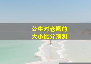 公牛对老鹰的大小比分预测