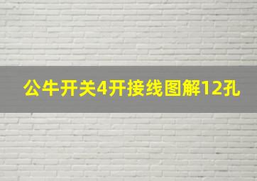 公牛开关4开接线图解12孔