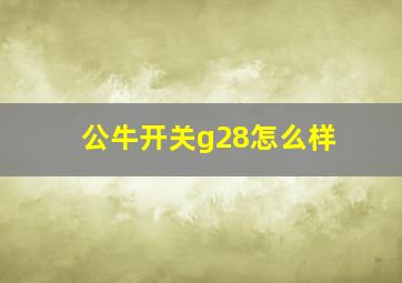 公牛开关g28怎么样