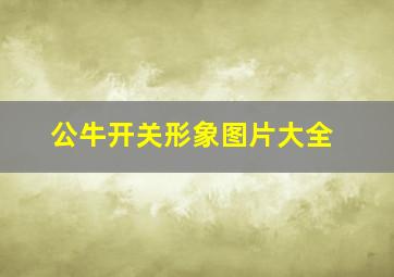 公牛开关形象图片大全