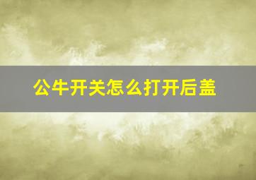 公牛开关怎么打开后盖