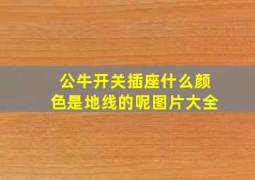 公牛开关插座什么颜色是地线的呢图片大全