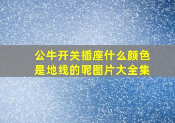 公牛开关插座什么颜色是地线的呢图片大全集