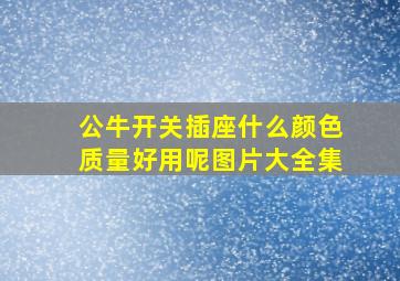 公牛开关插座什么颜色质量好用呢图片大全集