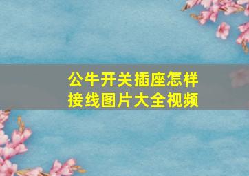 公牛开关插座怎样接线图片大全视频