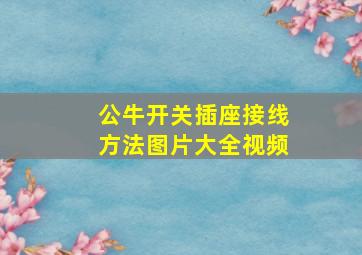 公牛开关插座接线方法图片大全视频